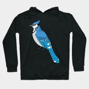 Blue Jay Hoodie